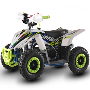 QUAD ELETTRICO