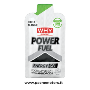 WHYSPORT POWER FUEL MENTA LIME